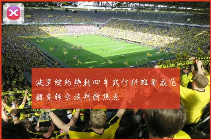 波罗续约热刺四年武什科维奇成范赫克转会谈判新焦点